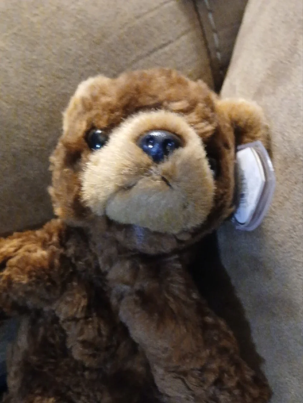 Cocoa Ty Beanie
